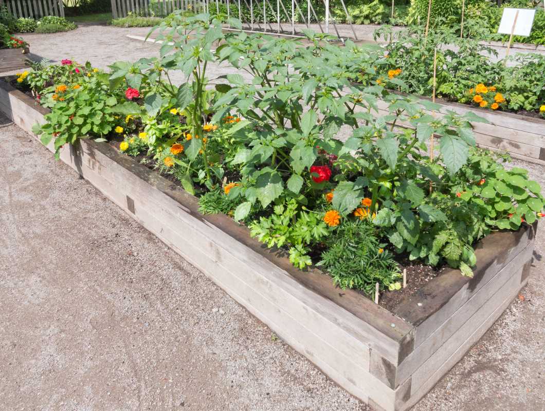 Seasonal Gardening Tips for Flourishing Plant Beds Year-Round