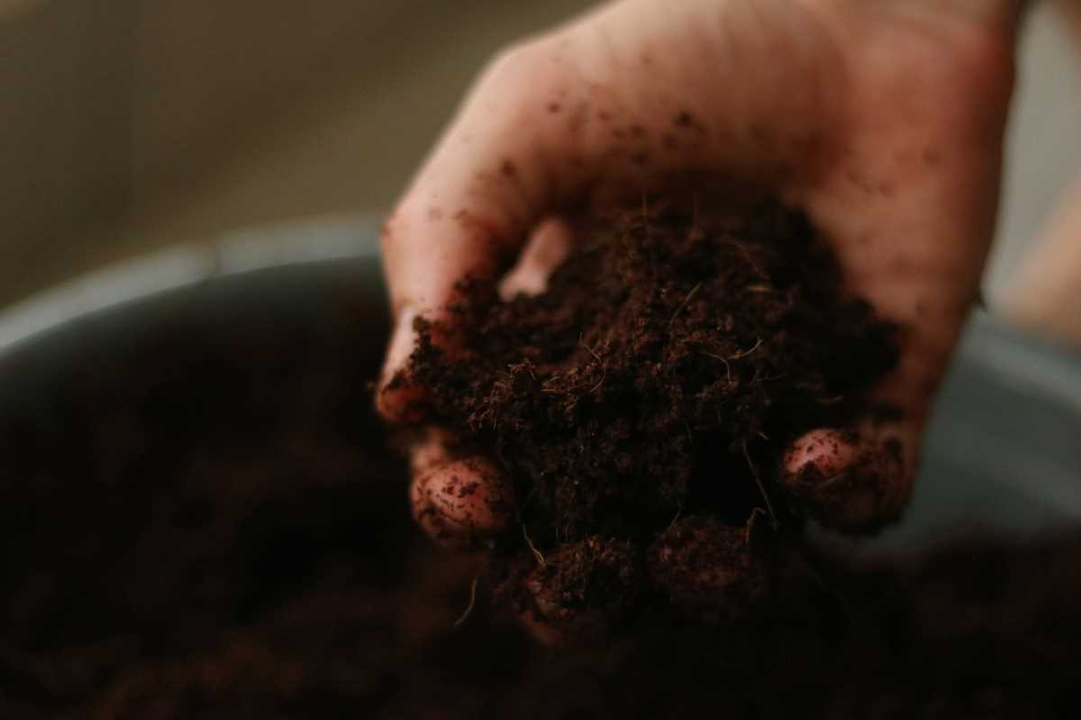 The Secret Life of Soil: How to Build Healthy, Living Soil for Thriving Gardens