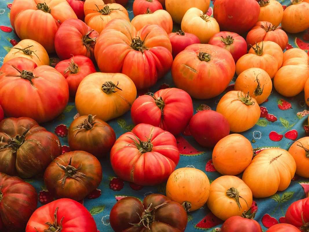 Cooking With Heirloom Tomatoes for Simple Yet Tasty Dishes