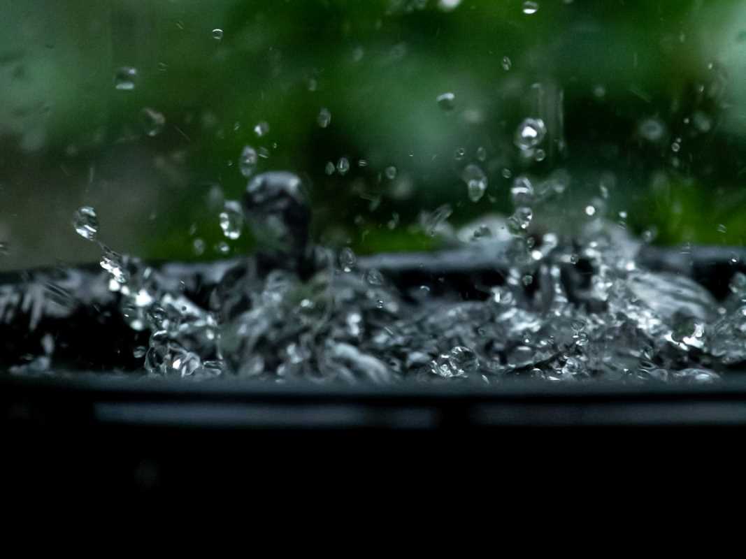 Save and Reuse Rainwater for Efficient Gardening and Water Conservation