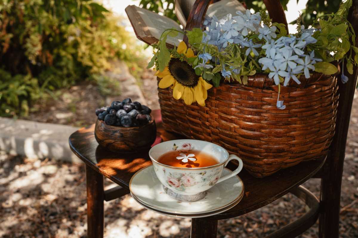 How to Cultivate Your Own Tea Garden