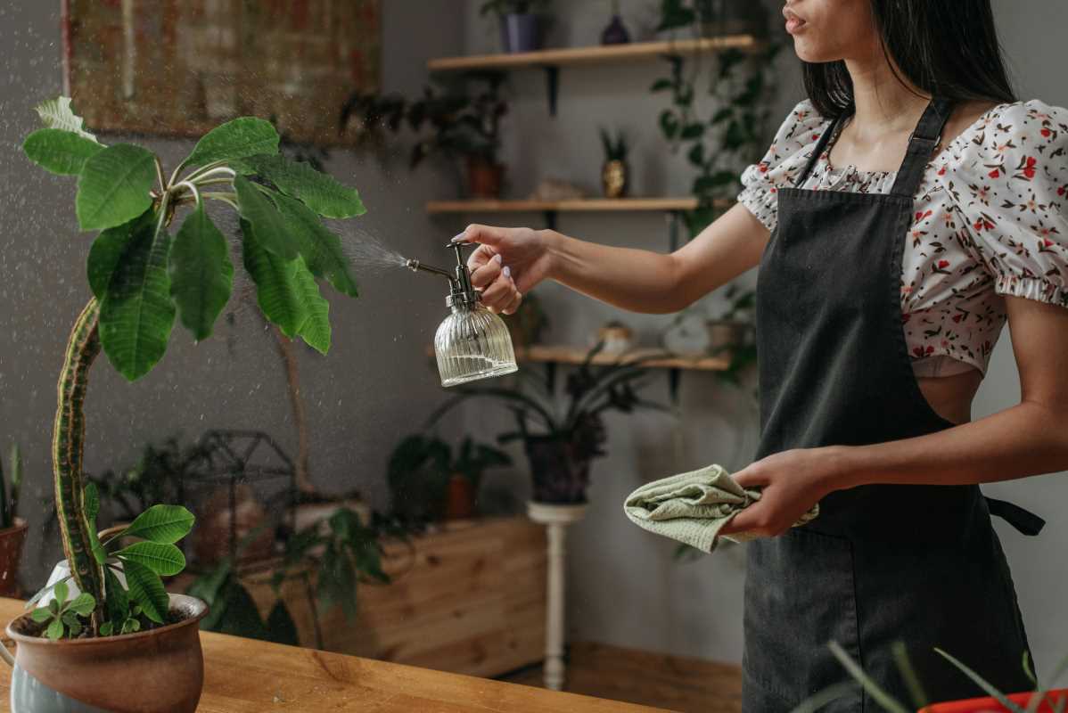 Swapping Everyday Items for Eco-Friendly Alternative